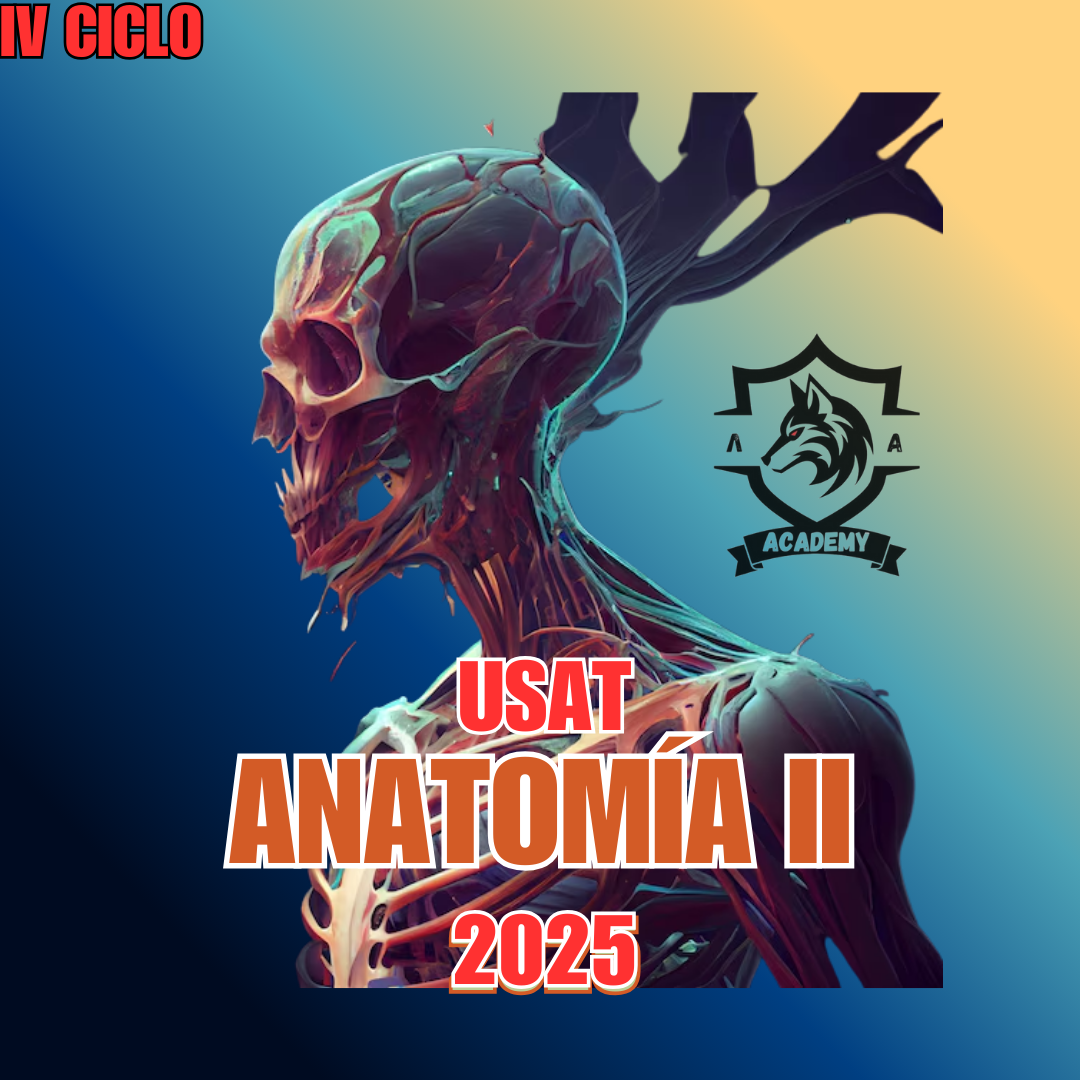 Anatomia II